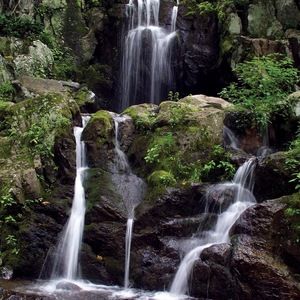 Meet your Posher, Fiona